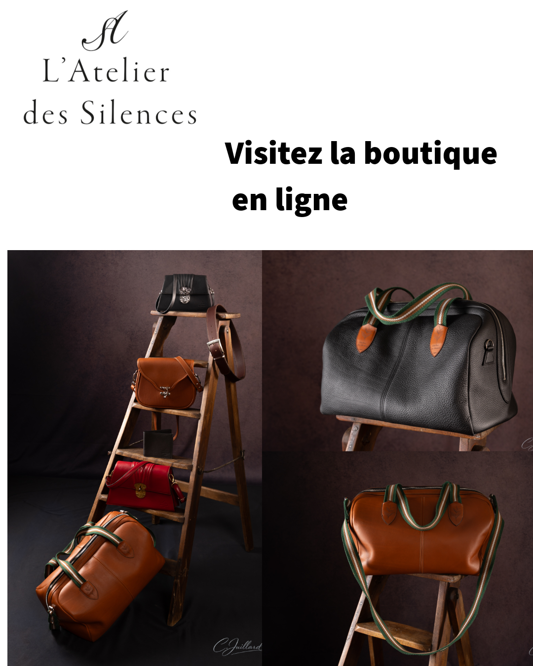 boutique en ligne